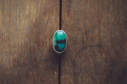 Mountain Seekers Ring - Chrysoprase M 1/2 / 6.5