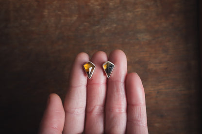 Smoke & Dust Post Earrings - Montana Agate